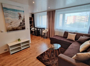 Metsa apartment